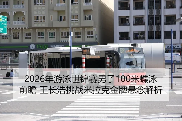 nian-you-yong-shi-jin-sai-nan-zi-mi-die-yong-qian-zhan-wang-zhang-hao-tiao-zhan-mi-la-ke-jin-pai-xuan-nian-jie-xi-1-564.jpg